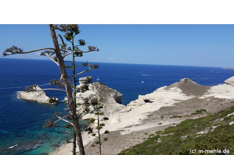 Bucht bei Bonifacio Korsika